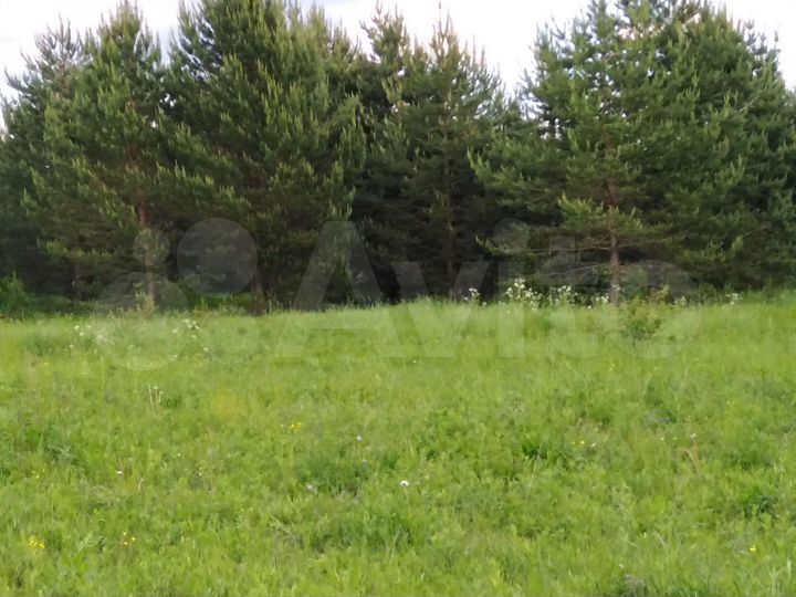 Участок 11 га (СНТ, ДНП)
