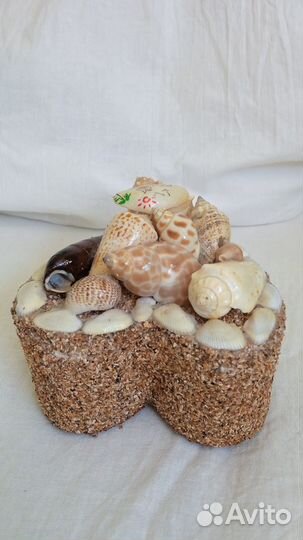 Шкатулка ракушка
