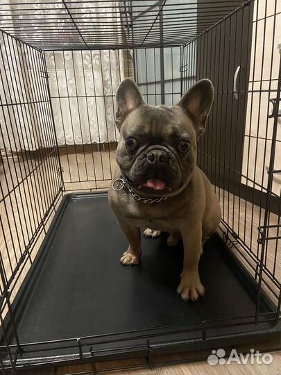 Клетка для животных большая