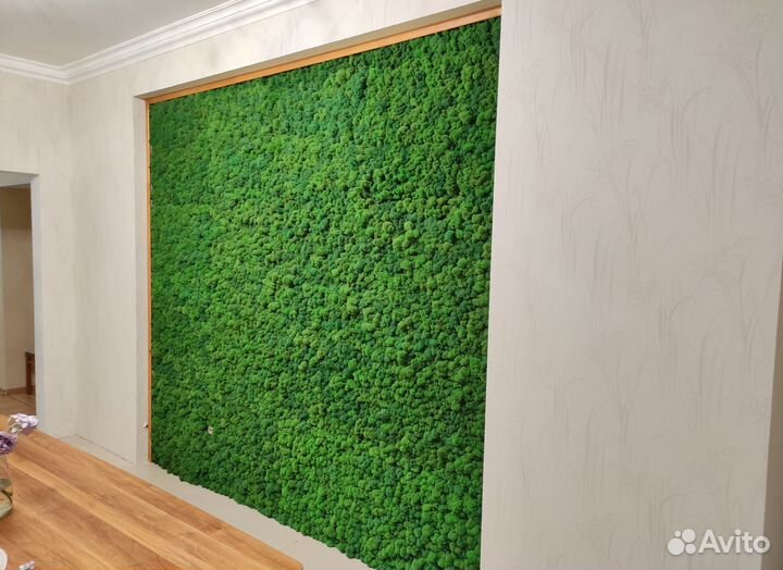 Мох стабилизированный. Картина