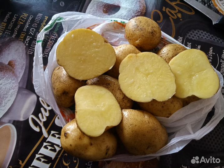 Картофель свежий опт