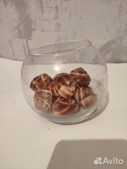 Стеклянная ваза