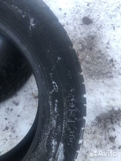 Gislaved NordFrost 100 205/55 R16
