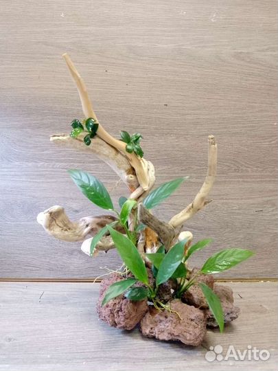 Декор для аквариума