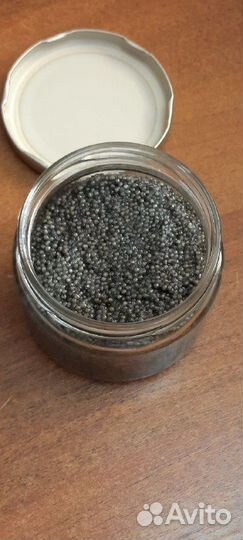 Черная икра