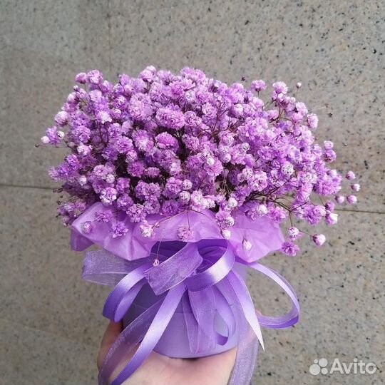 Сиреневая Гипсофила в стильной упаковке с лентой