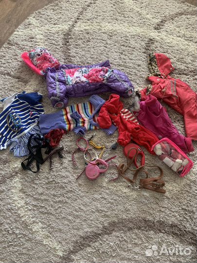 Одежда для маленьких пород собак