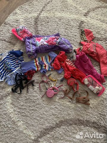 Одежда для маленьких пород собак