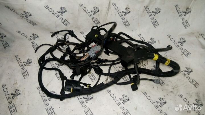 Проводка двигателя Fiat Ducato 290 2.3