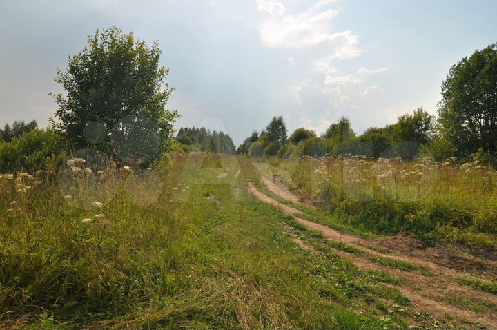 Участок 4,3 га (СНТ, ДНП)