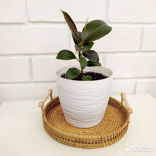 Корзина из ротанга диаметр 24 см