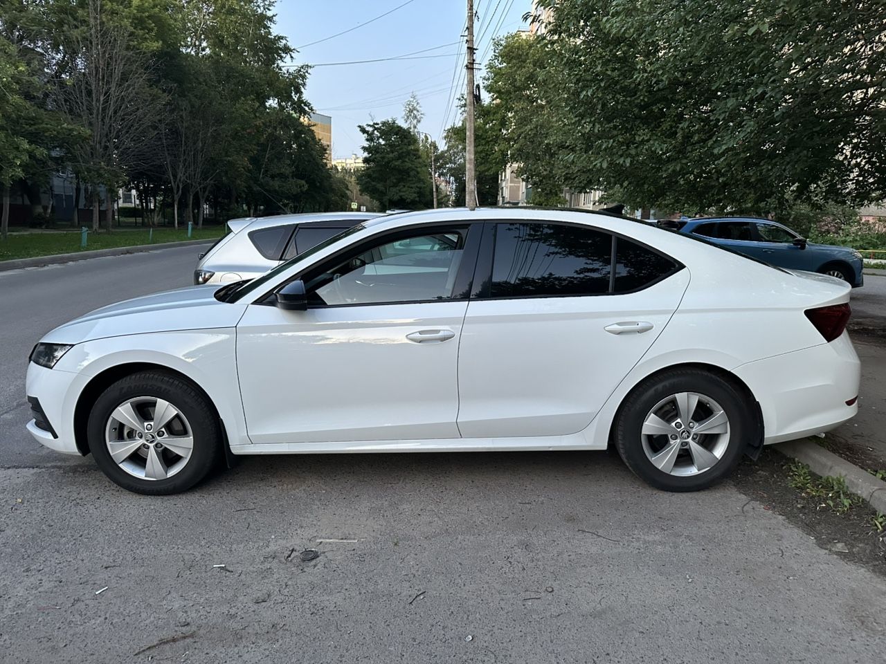 Skoda Octavia: фото владельца