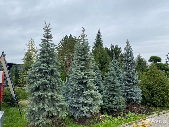 Крупномеры