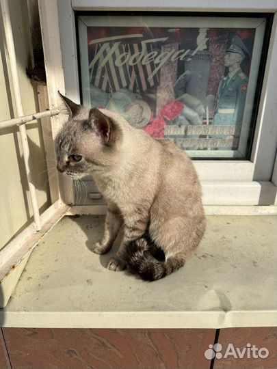 Варя из приюта ищет семью