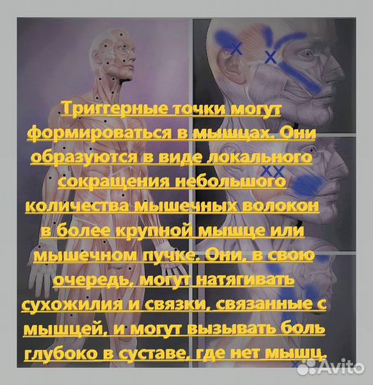 Миопрессура-Юмейхо-Тайский-Йога-Фитооздоровление