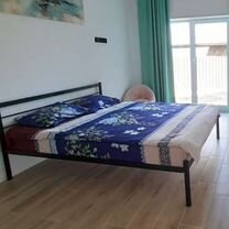 ⭐︎ Снять дом, дачу, коттедж или таунхаус 🏡 в Калининграде