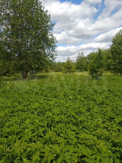 Участок 10 сот. (СНТ, ДНП)