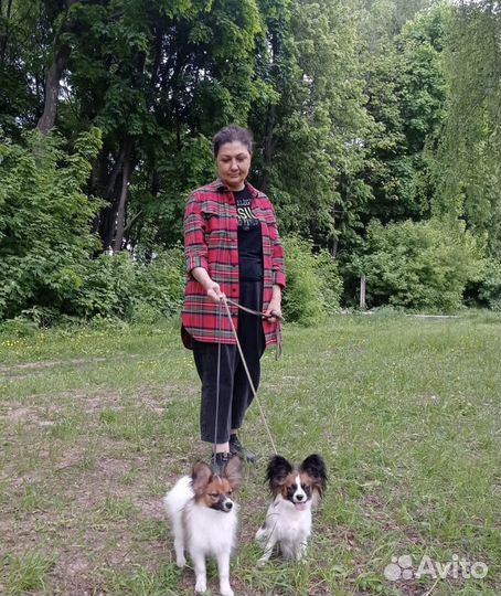 Выгул собак, догситтер (зооняня)