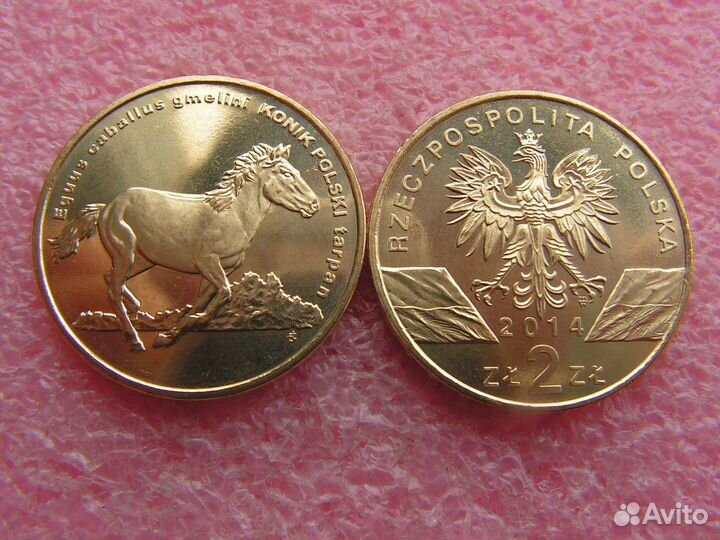 Польша 2013-2014 год. 2 злотых