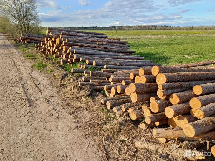 Продам лес кругляк