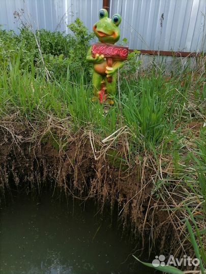 Лягушкаволк