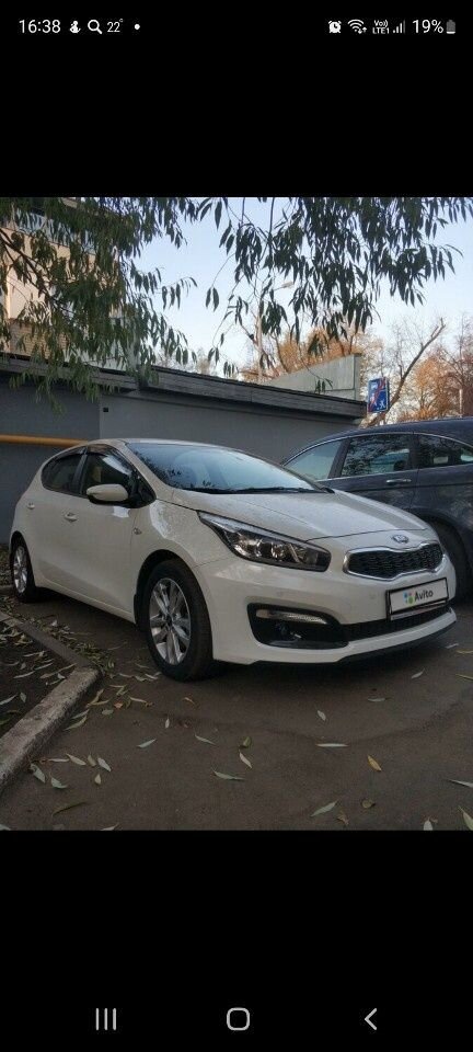 Kia Ceed: фото владельца