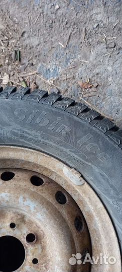 Matador MP 50 Sibir Ice 175/70 R13 82T