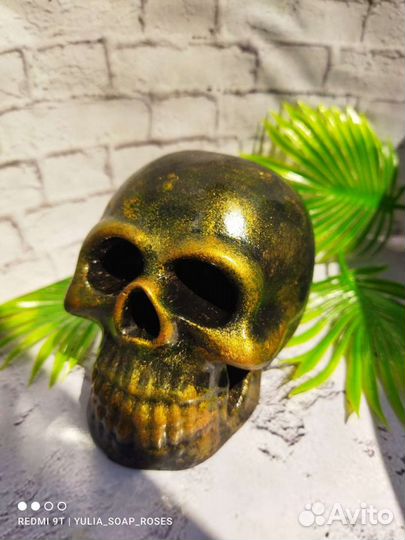 Череп из гипса