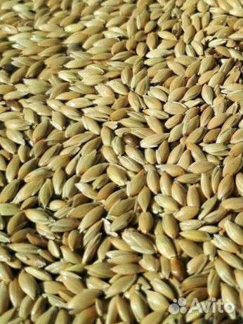 Корм для канареек