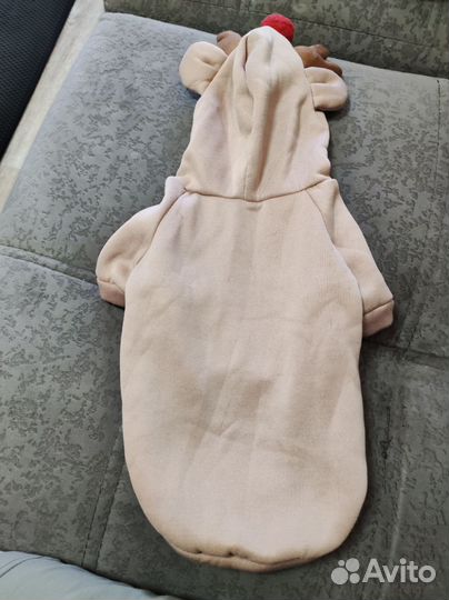 Толстовка для кошек и собак, размер M