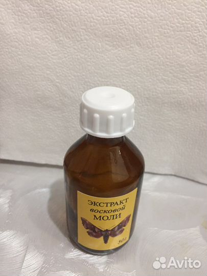 Восковая моль