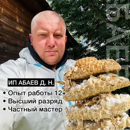 ИП АБАЕВ Д. Н.