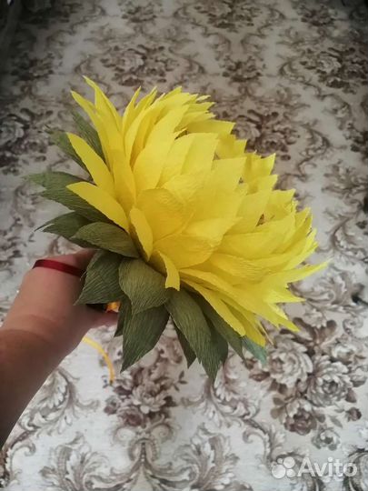 Одиночный цветок Подсолнух