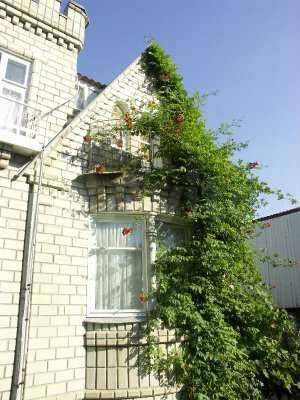 Комната 12 м² в 3-к., 3/3 эт.