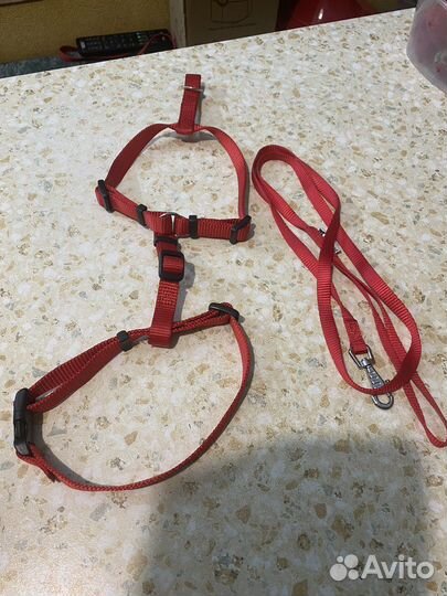 Шлейка с поводком для собаки
