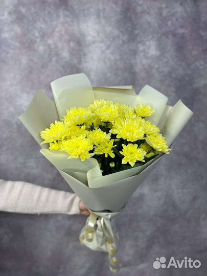 Букет. Хризантемы