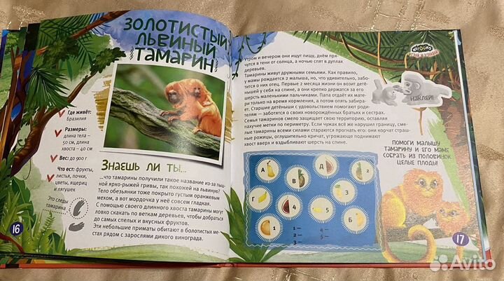 Книга kinder Natoons