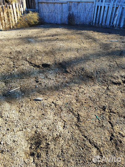 Навоз бесплатно самовывоз