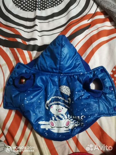 Одежда для маленьких собак xs