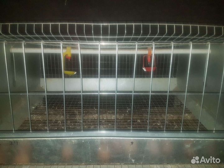 Клеточная батарея