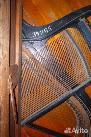 August forster, инструмент № 34965. выпуск 1913 г