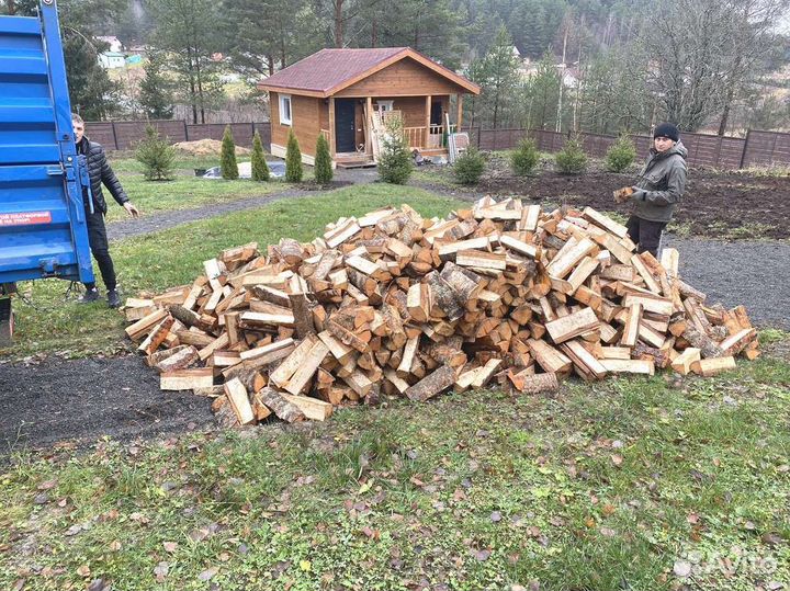 Дрова колотые березовые