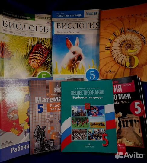 Рабочие тетради 5,6,7,8,9 класс по всем предметам