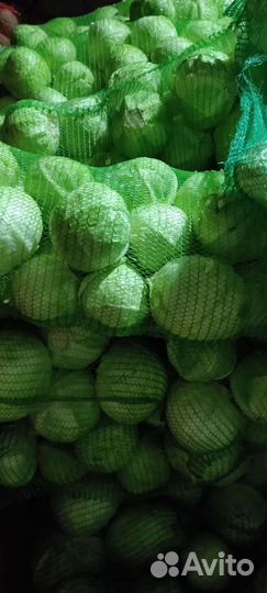 Картофель и овощи