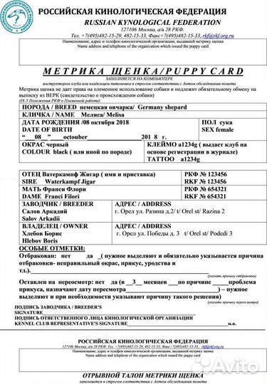 Родословная РКФ на собаку