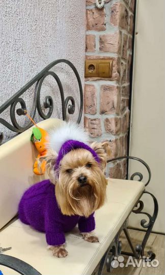 Шапка для собачек