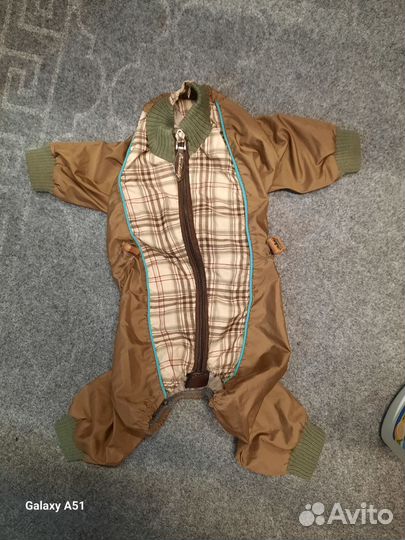 Одежда для маленьких собак пакетом