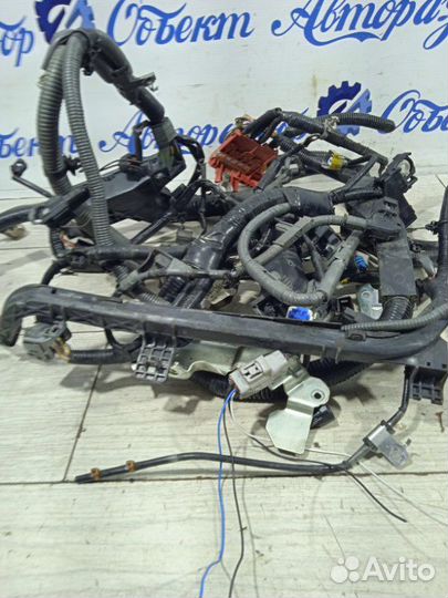 Проводка подкапотная Mazda Atenza GJ2FW shvptr