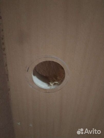 Дверное полотно. 80x200, распашные 2шт по 60см