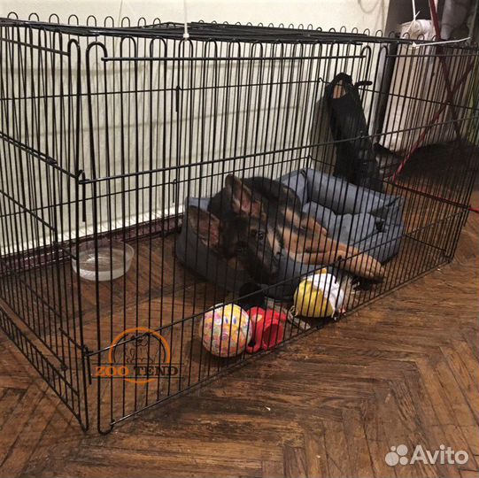 Вольер для собак / кошек / кроликов, высота 70 см